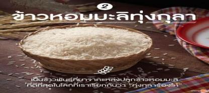 ข้าวหอมมะลิทุ่งกุลา เพชร 101