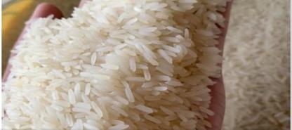 ข้าวหอมมะลิเขาวง